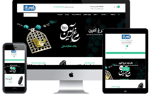 ساخت وب سایت فروشگاهی پارس تینا